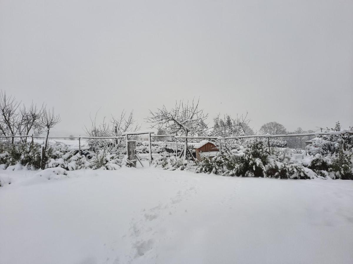 Gorgeous Holiday Home In Stoumont With Garden Exteriör bild